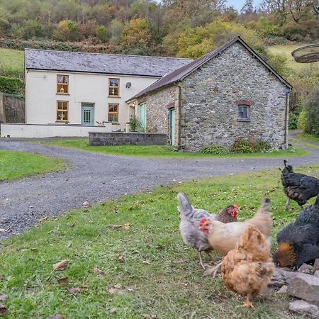 Llanllawdog Pwll Farmhouse מראה חיצוני תמונה