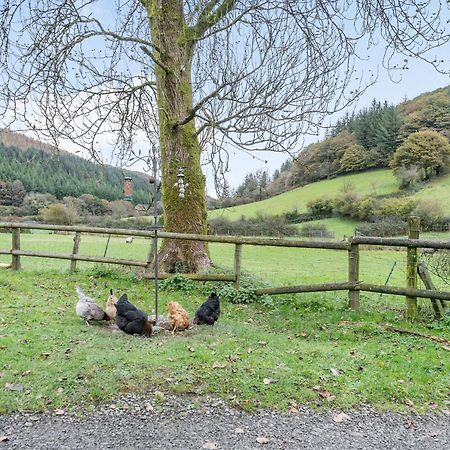 Llanllawdog Pwll Farmhouse מראה חיצוני תמונה