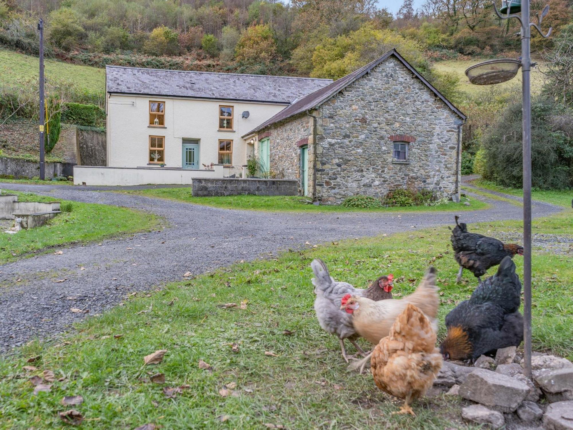 Llanllawdog Pwll Farmhouse מראה חיצוני תמונה