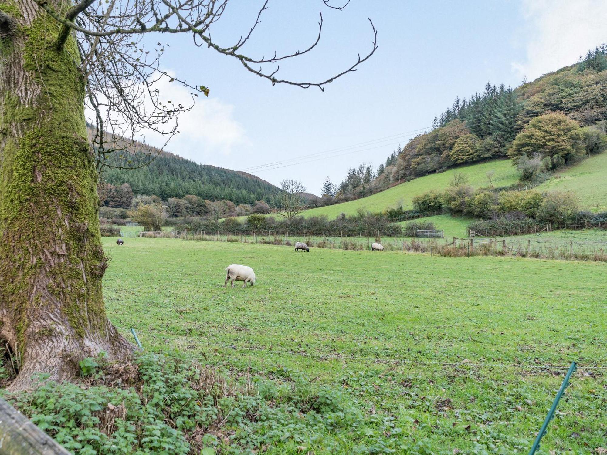 Llanllawdog Pwll Farmhouse מראה חיצוני תמונה